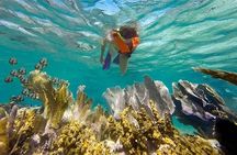 Puerto Morelos Reef Snorkeling Experience