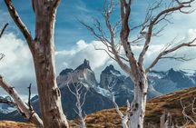 Photographic exploration in Torres del Paine