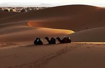3 Day FROM MARRAKECH TO FES VIA MERZOUGA DESERT TOUR