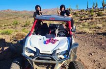 11:00 AM 2-Hour Sonoran Desert Guided UTV Tour from Fort McDowell
