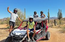 11:00 AM 2-Hour Sonoran Desert Guided UTV Tour from Fort McDowell