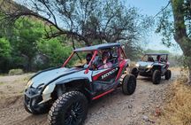 11:00 AM 2-Hour Sonoran Desert Guided UTV Tour from Fort McDowell
