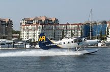NEW Victoria Harbour 75 min Boat Tour with Tour Guide