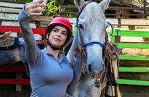 Sierra Madre Horseback Riding Tour