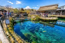 Mt. Fuji, Chureito Pagoda & Lake Kawaguchiko Day Tour from Tokyo