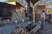Tequila: Private Half-Day Tour