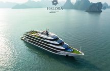 Halora Kairos Cruise 5* Lan Hạ Bay 2D1N with 2 ways transfer