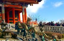 Kyoto&Nara Day Tour | English Guide & Private Vehicle