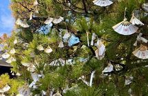 Kyoto&Nara Day Tour | English Guide & Private Vehicle