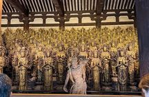 Kyoto and Nara Day Tour | English Guide and Private Vehicle