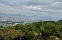 Kyoto and Nara Day Tour | English Guide and Private Vehicle