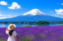 Mt.Fuji, Arakurayama, Oishi Park, & Lake Kawaguchiko from Tokyo