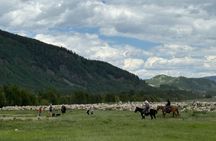 10th Mountain Jeep Tour - Vail, CO