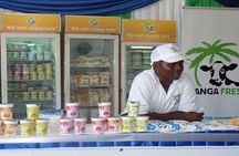 Visit Sisal Plantations & Processing Factory - Full Day Tour