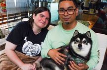 Tokyo Shiba Inu Shrine Walk | Discover Tokyo's Hidden Side