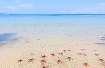 North Phu Quoc Discovery: Land Tour, Kayaking & Nature Escape