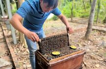 North Phu Quoc Discovery: Land Tour, Kayaking & Nature Escape