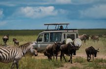 5 Day Private Tanzania Big Five & Serengeti ( Mid-Range) Safari.