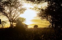 5 Day Private Tanzania Big Five & Serengeti ( Mid-Range) Safari.