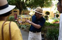 In the footsteps of Van Gogh in Provence from Avignon