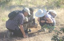 Livingstone: White Rhino Tracking Safari in Mosi-oa-Tunya