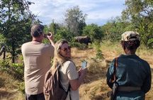 Livingstone: White Rhino Tracking Safari in Mosi-oa-Tunya