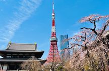 Tokyo Private Custom Tour by Car with Guide