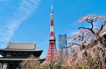 Tokyo Private Half-Day Highlights Tour by Car with Guide