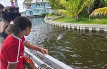 2 hour Dolphin Sightseeing Tour in Melbourne Florida