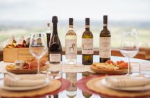 5 Wine Tastings in San Gimignano