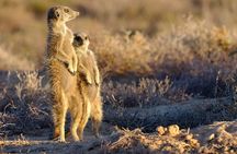 3 Nights Garden Route Tour from Cape Town