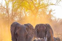 4 Days wild lifeTarangire, Serengeti & Ngorongoro from znz