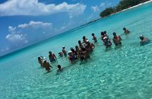 Nassau 3 Island Private Boat Tour Pigs, Turtles & Snorkeling