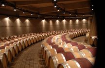 Wine Experience in Mendoza Half Day in Maipu and Lujan