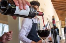 Wine Experience in Mendoza Half Day in Maipu and Lujan