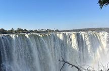 Guided Tour of Victoria Falls with Local Guide