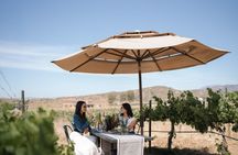 Wine Tasting Among Vineyards with Panoramic Views of the Valley