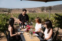 Wine Tasting Among Vineyards with Panoramic Views of the Valley