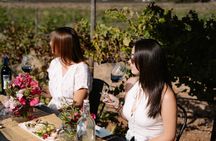 Wine Tasting Among Vineyards with Panoramic Views of the Valley