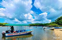 Tamarindo Mangrove Guided Boat Tour in Las Baulas National Park