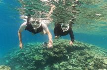 Okinawa: Boat Snorkeling 2 Rounds at Minna, Sesoko or Motobu