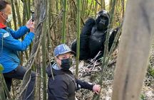 One-Day Gorilla Trekking Experience – Rwanda or Uganda