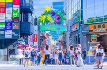 Essential tour for fashion and art in Tokyo for 6 hours with local lunch