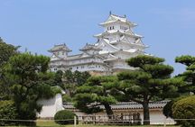 Himeji Castle and Akashi Kaikyo Bridge Walking Tour from Kyoto