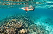Northern Zanzibar Snorkeling Turtles and Sunset Tour