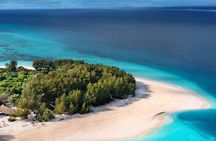 Northern Zanzibar Snorkeling Turtles and Sunset Tour