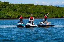 Cairns City: 1 Hour Guided Jet Ski Crocodile Spotting Tour