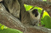 Private Layover Panama Canal & City Tour