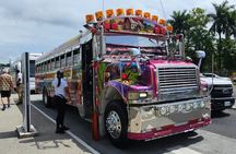 Private Layover Panama Canal & City Tour