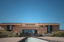 Mendoza Private Wine Tour Paired Lunch and Olive Oil Tasting